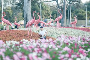 BIB: 
                            <button type="button" onclick="openModal(27344031)" class="btn btn-primary btn-sm float-right btn-popup" data-toggle="modal" data-target=".modal-high-quality">
                        <i class="fas fa-shopping-cart"></i> Add to Cart
                    </button>
                                            <button type="button" onclick="isThisMe(27344031, true)" class="btn btn-success btn-sm float-right btn-popup btn-isme hidden" data-toggle="tooltip" data-placement="bottom" title="นี่คือรูปของคุณใช่ไหม คลิกที่นี่เพื่อเอาเข้าอัลบั้ม">
                        <i class="fas fa-plus"></i> Add to album
                    </button>
                    <button type="button" onclick="isThisMe(27344031, false)" class="btn btn-warning btn-sm float-right btn-popup btn-isnotme hidden">
                        <i class="fas fa-ban"></i> Remove from album
                    </button>